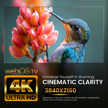 Afbeelding in Gallery-weergave laden, Q.2 43 inch television | 4K UHD 3840x2160| Smart TV | HDR | Frameless | WiFi, Bluetooth | webOS.
